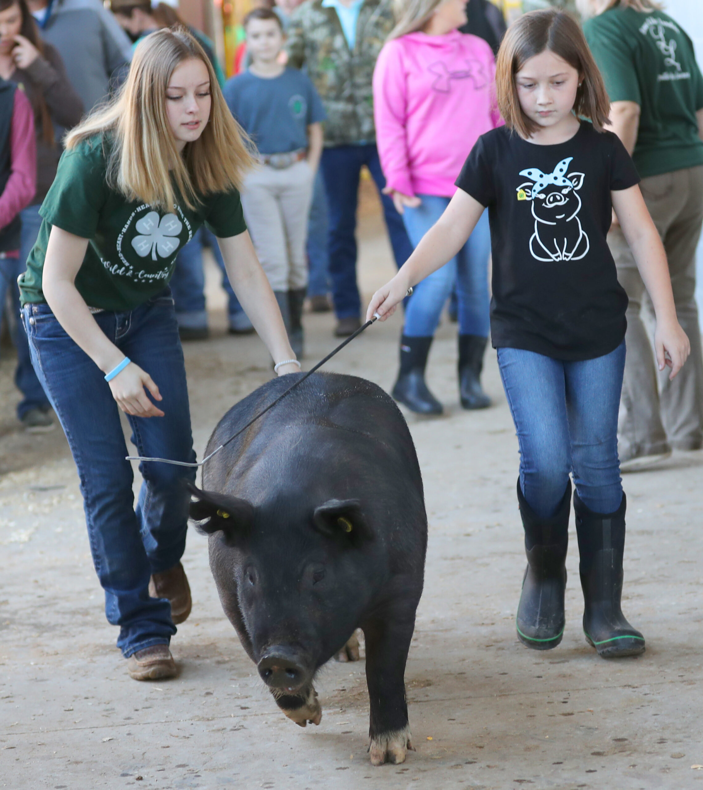 Gallery Southeastern Youth Fair Swine weighin Ocala Gazette