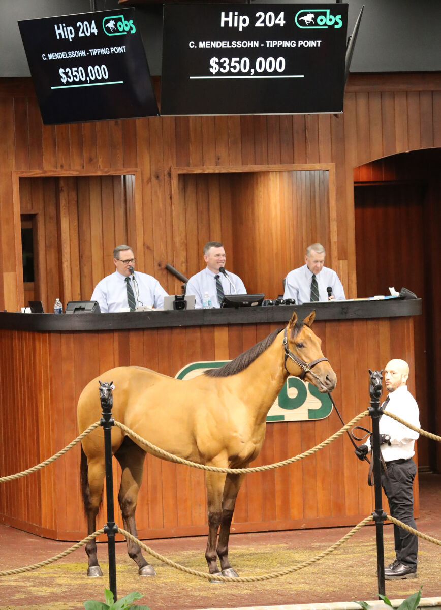 Pair of SevenFigure Colts Top Opening Session of OBS March Sale
