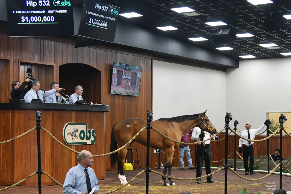 1 million American Pharoah filly a home run for the Gladwells at OBS