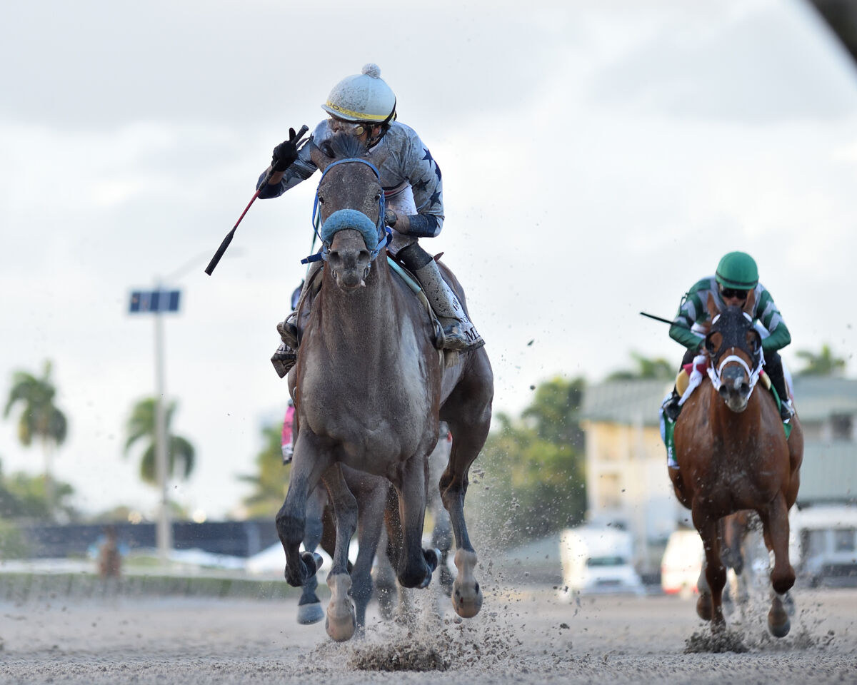 Simplification proves best in Gulfstream’s Fountain of Youth Stakes
